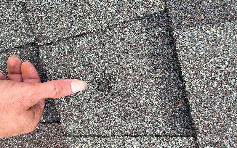 Close-up inspection of a small mark on an asphalt roof shingle